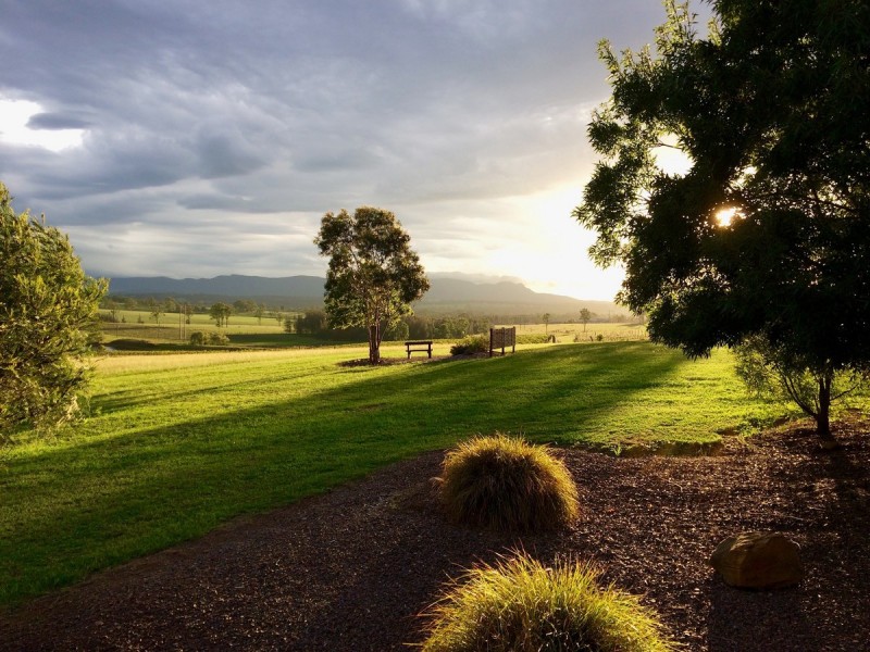 169 Talga Road, Lovedale NSW 2325