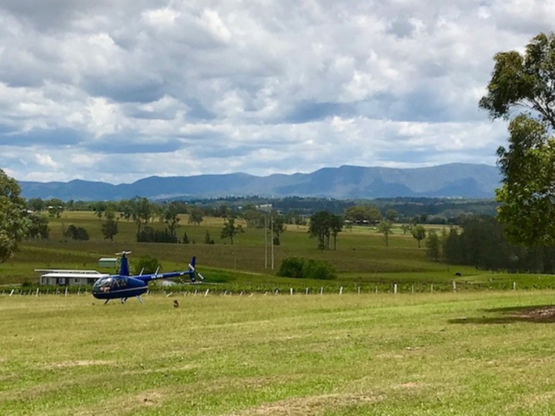 169 Talga Road, Lovedale NSW 2325