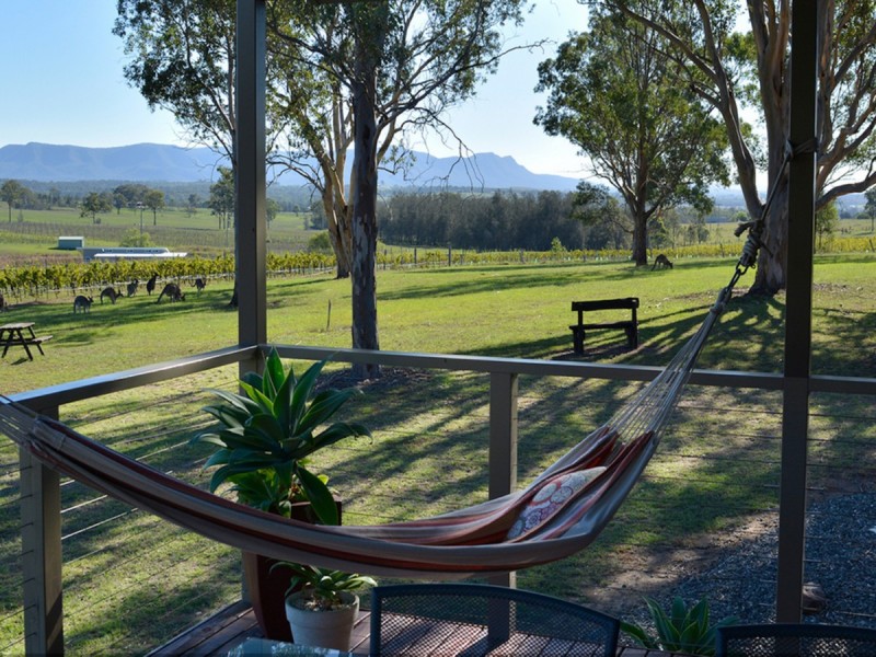 169 Talga Road, Lovedale NSW 2325