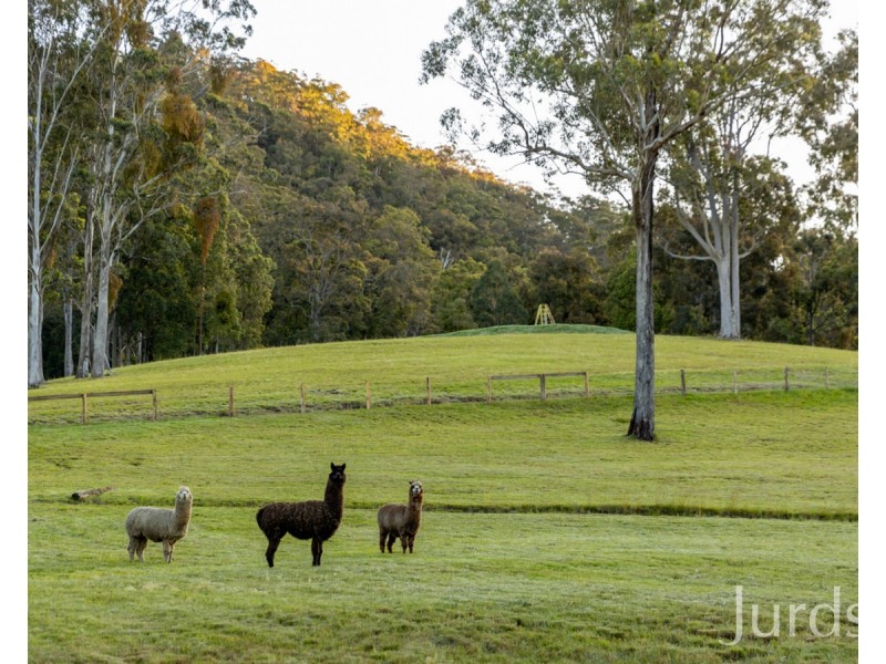 155 Q9 Lane, Ellalong NSW 2325