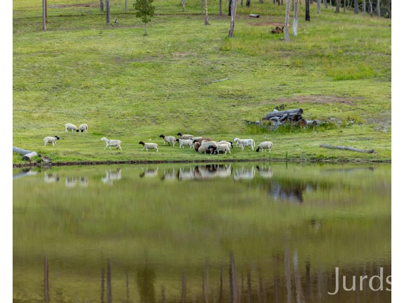 155 Q9 Lane, Ellalong NSW 2325