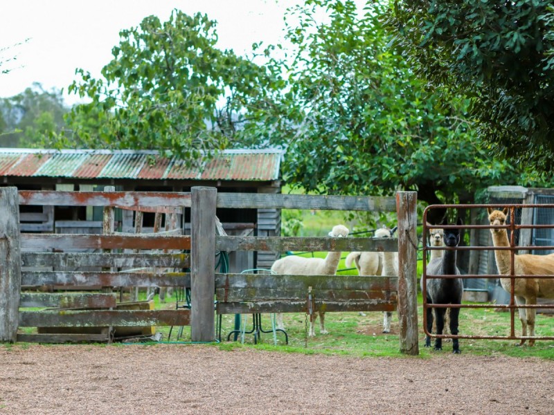 95 Q4 Private Access Road, Ellalong NSW 2325