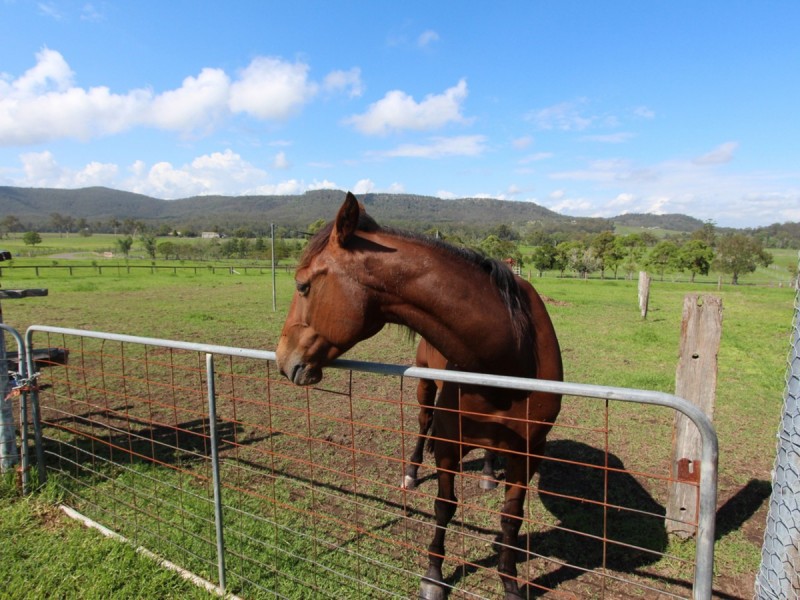 208 Fotheringay Road, Clarence Town NSW 2321