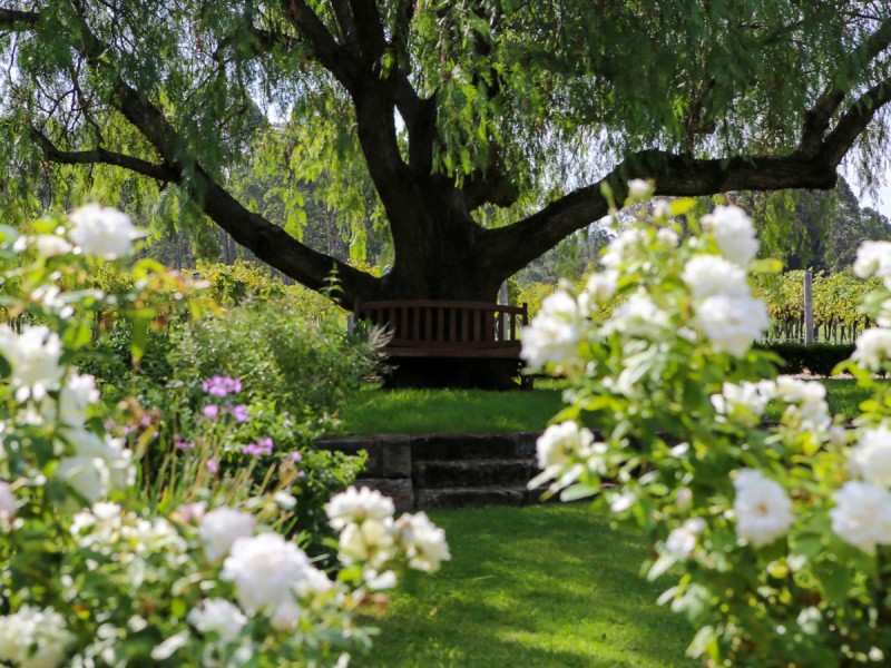 1596 Broke Road, Pokolbin NSW 2320