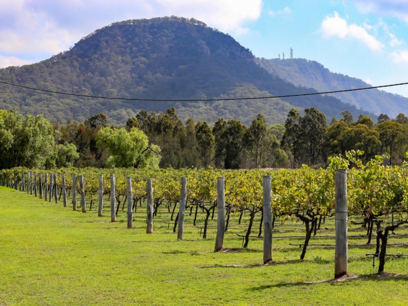 1596 Broke Road, Pokolbin NSW 2320