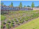 8 Haines Lane (Huntlee), North Rothbury NSW 2335
