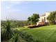 136 Thompsons Road, Pokolbin NSW 2320