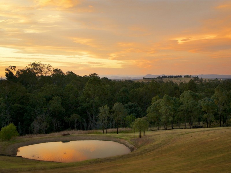 136 Thompsons Road, Pokolbin NSW 2320