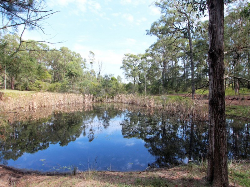 138 Olsen Road, Lovedale NSW 2325