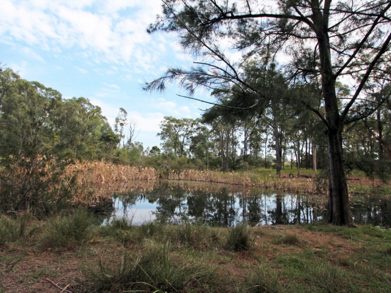 138 Olsen Road, Lovedale NSW 2325