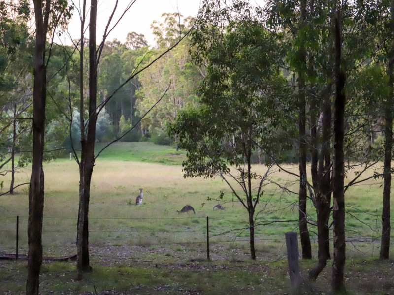 403 Wallaby Gully Road, Ellalong NSW 2325