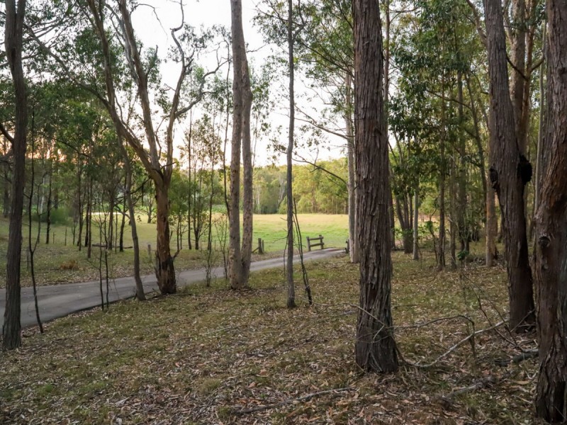 403A Wallaby Gully Road, Ellalong NSW 2325