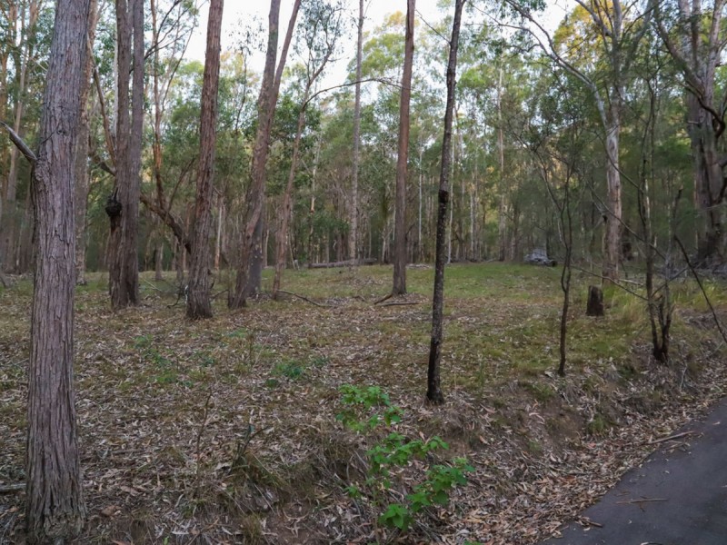 403A Wallaby Gully Road, Ellalong NSW 2325