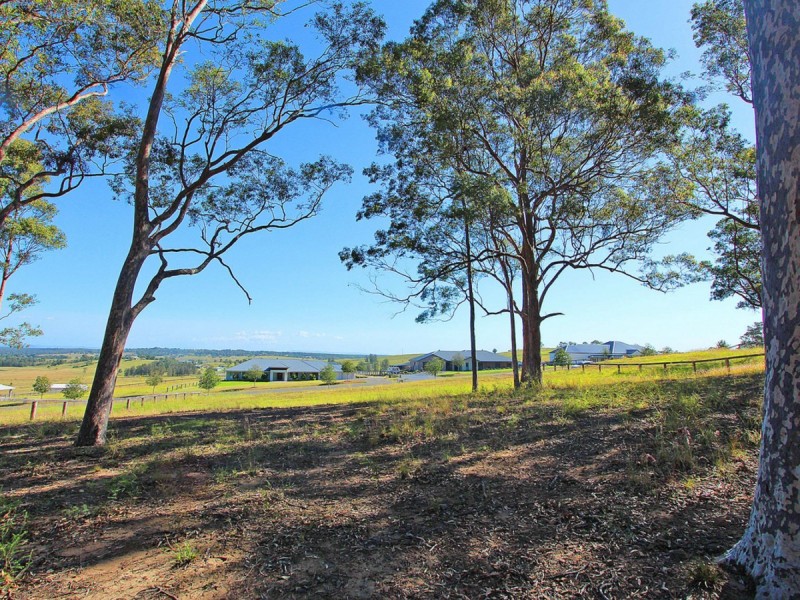 11 Pyrus Avenue, Branxton NSW 2335