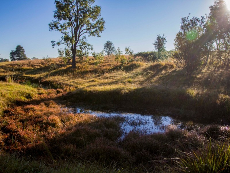 165 Sandy Creek Road, Mount Vincent NSW 2323