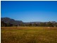 165 Sandy Creek Road, Mount Vincent NSW 2323