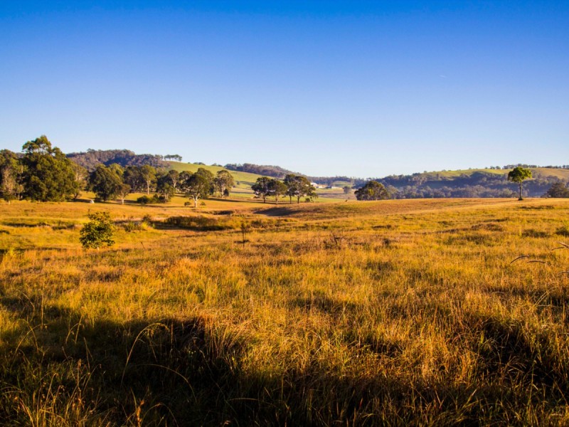 165 Sandy Creek Road, Mount Vincent NSW 2323