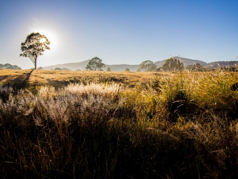 165 Sandy Creek Road, Mount Vincent NSW 2323