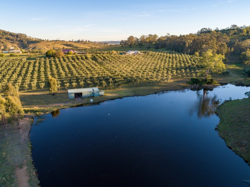 3/90 Hillsborough Road, Hillsborough NSW 2320