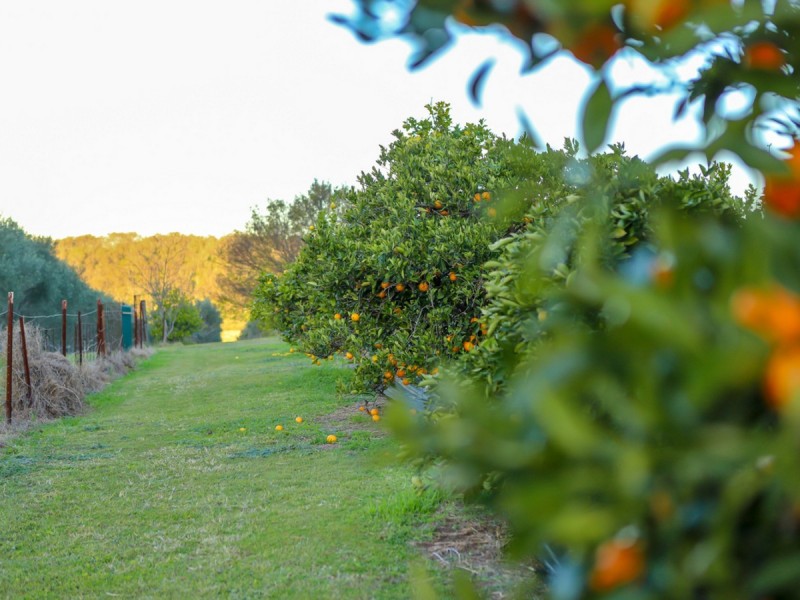 3/90 Hillsborough Road, Hillsborough NSW 2320