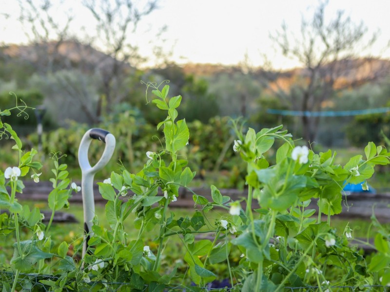 3/90 Hillsborough Road, Hillsborough NSW 2320