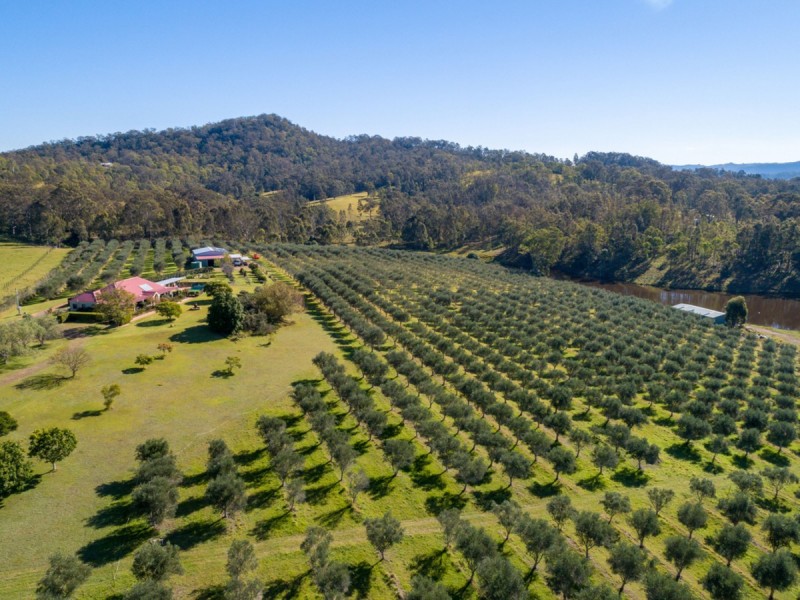 3/90 Hillsborough Road, Hillsborough NSW 2320