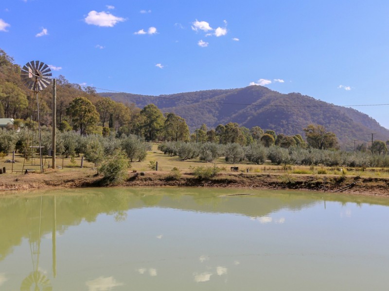 872 Milbrodale Road, Broke NSW 2330