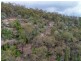 872 Milbrodale Road, Broke NSW 2330