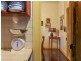 Maitland NSW 2320