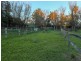 Maitland NSW 2320