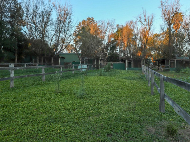 Maitland NSW 2320