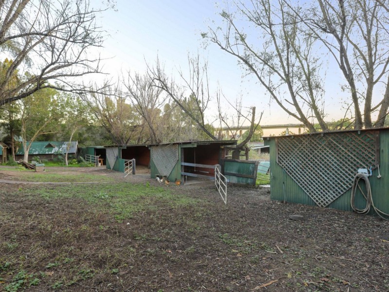 Maitland NSW 2320
