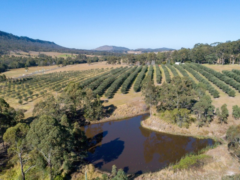 525 Lambs Valley Road, Lambs Valley NSW 2335