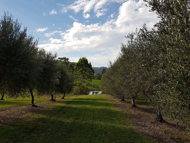 525 Lambs Valley Road, Lambs Valley NSW 2335