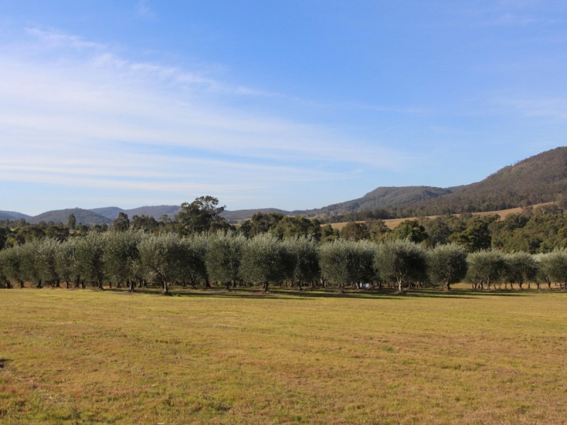 525 Lambs Valley Road, Lambs Valley NSW 2335