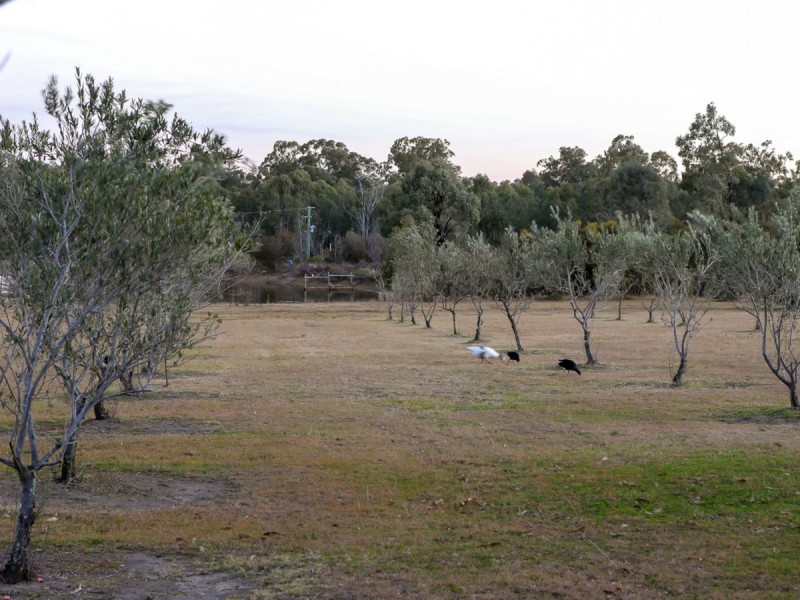 Nulkaba NSW 2325