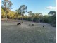 1087 Wollombi Road, Broke NSW 2330