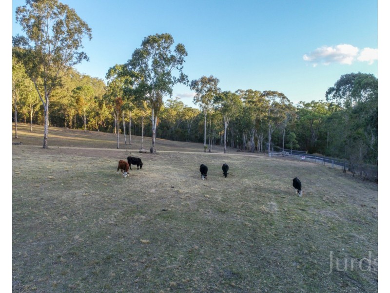 1087 Wollombi Road, Broke NSW 2330