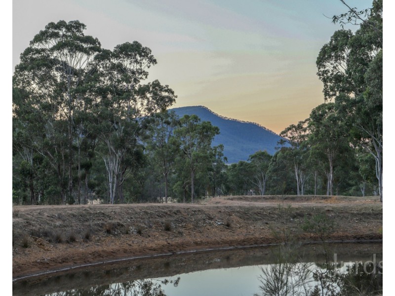 1087 Wollombi Road, Broke NSW 2330
