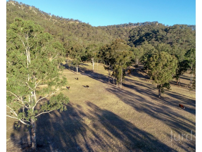 1087 Wollombi Road, Broke NSW 2330