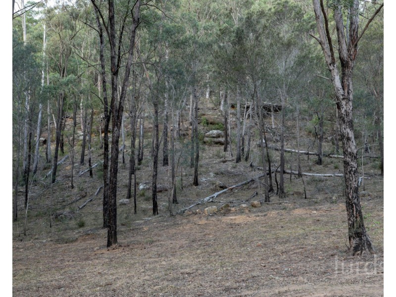 1087 Wollombi Road, Broke NSW 2330