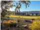 379 Talga Road, Lovedale NSW 2325