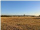 379 Talga Road, Lovedale NSW 2325