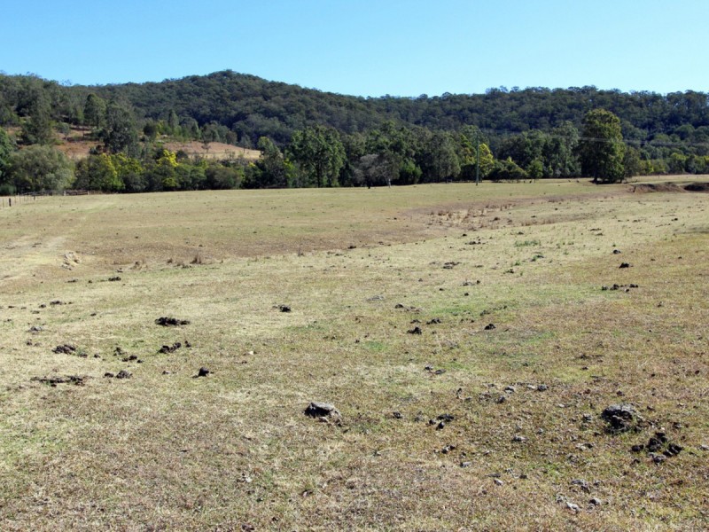 3675 Great North Road, Laguna NSW 2325