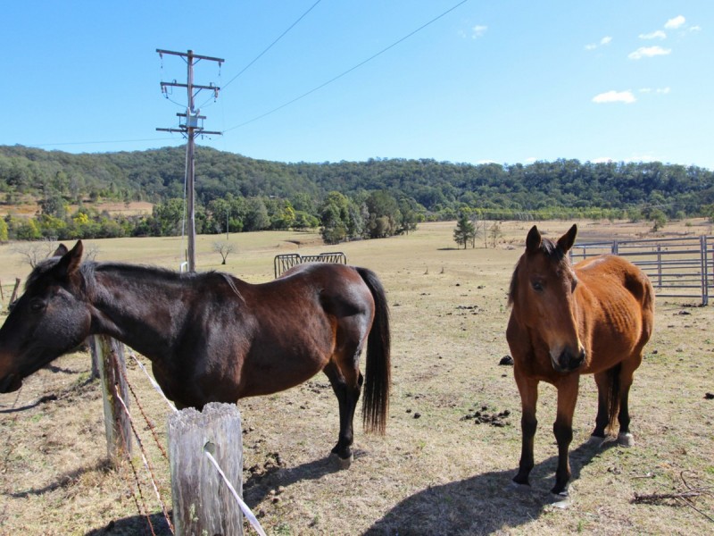 3675 Great North Road, Laguna NSW 2325