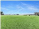 864 Old North Road, Pokolbin NSW 2320
