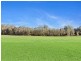 864 Old North Road, Pokolbin NSW 2320