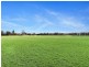864 Old North Road, Pokolbin NSW 2320