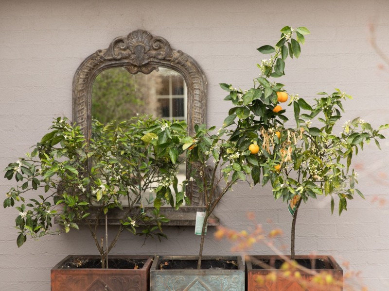 1368 Wine Country Drive, Rothbury NSW 2320