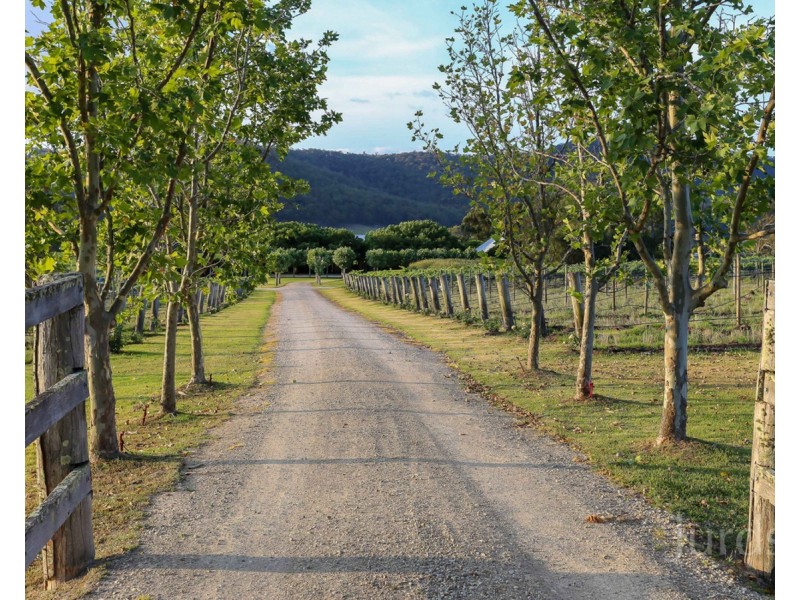 712 Wollombi Road, Broke NSW 2330